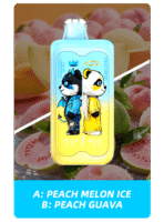 Merry Mi Panda Twins 40K Puffs – Peach Melon Ice and Peach Guava