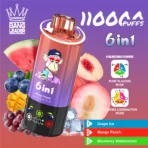 Bang Leader 110K Puffs 6-in-1 – Grape Ice, Mango Peach and Blueberry Watermelon