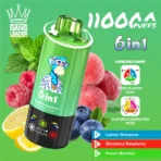 Bang Leader 110K Puffs 6-in-1 – variant Blueberry Raspberry on a green background