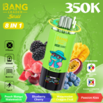 Bang Leader Stoll 350K Puffs – Peach Mango Watermelon, Blueberry Cherry, Watermelon Dragon Fruit and Passion Kiss