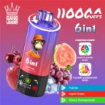 Bang Leader 110K Puffs 6-in-1 – Fuji Ice, Apple Grape and Cherry Pomegranate