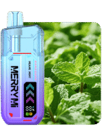 Merry Mi Mecha X 36K Puffs – Miami Mint