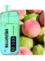 Merry Mi Mecha X 36K Puffs – Peach Guava