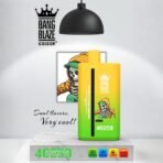Bang Blaze 40K Puffs 2-in-1 – Sour Mango Pineapple and Lemon Lime