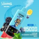 Bang Leader 85K Puffs 3-in-1 – Love 666, Blueberry Raspberry and Vimto